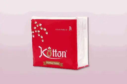 2-ply paper napkin